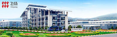 Shenzhen Feiyang Protech Corp., Ltd.